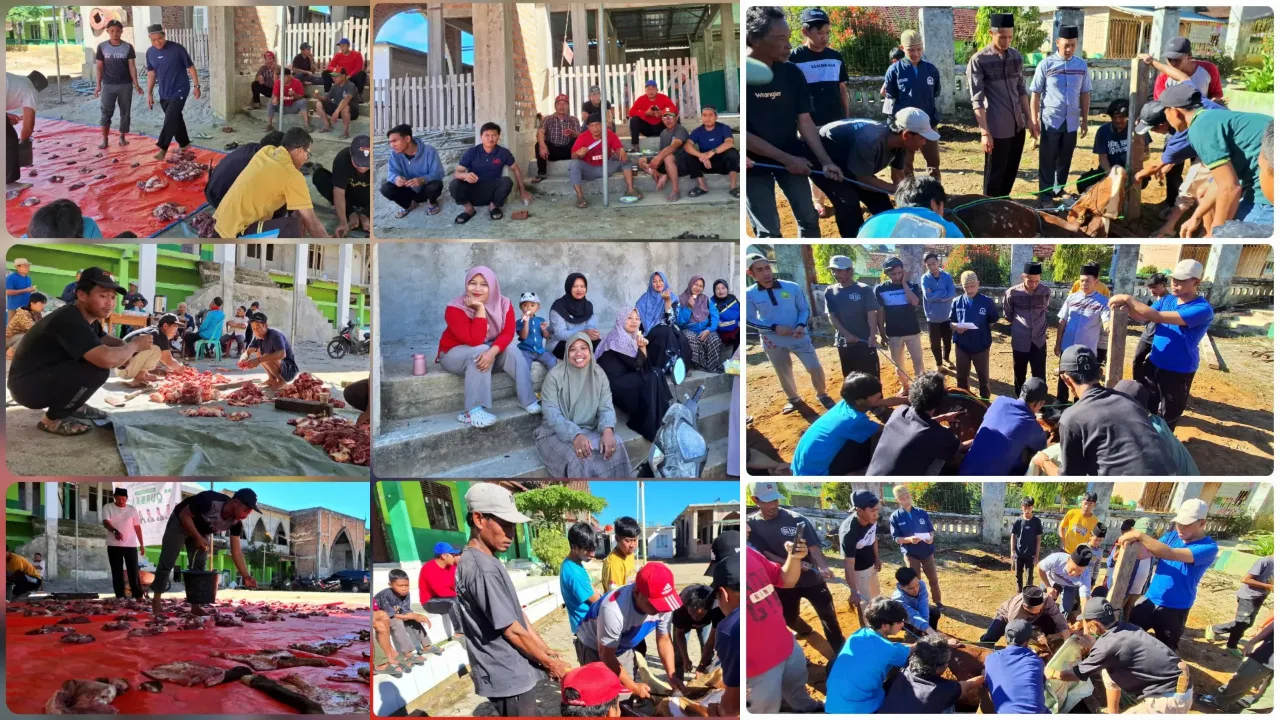 Rekap Dokumentasi Kurban Idul Adha 1447 H YPP Miftahul Huda